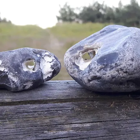 Huehnergott - Kranichnest アパート